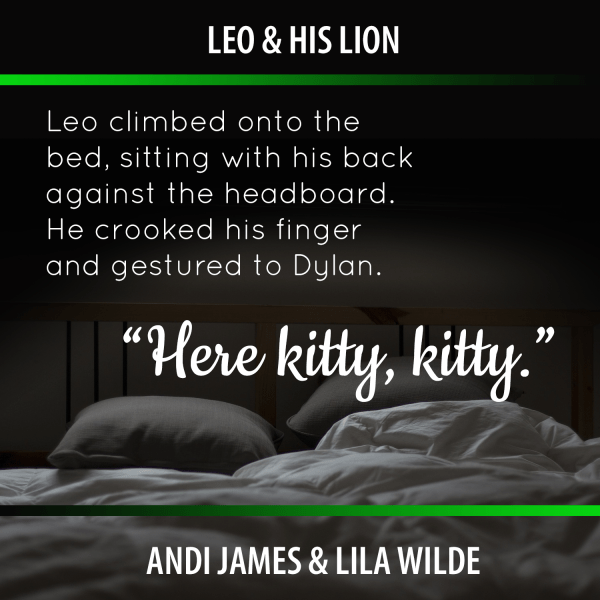 leo kitty2